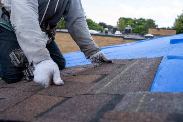 Best Metal Roofing Contractor  in Pine Knot, KY